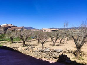Jardín